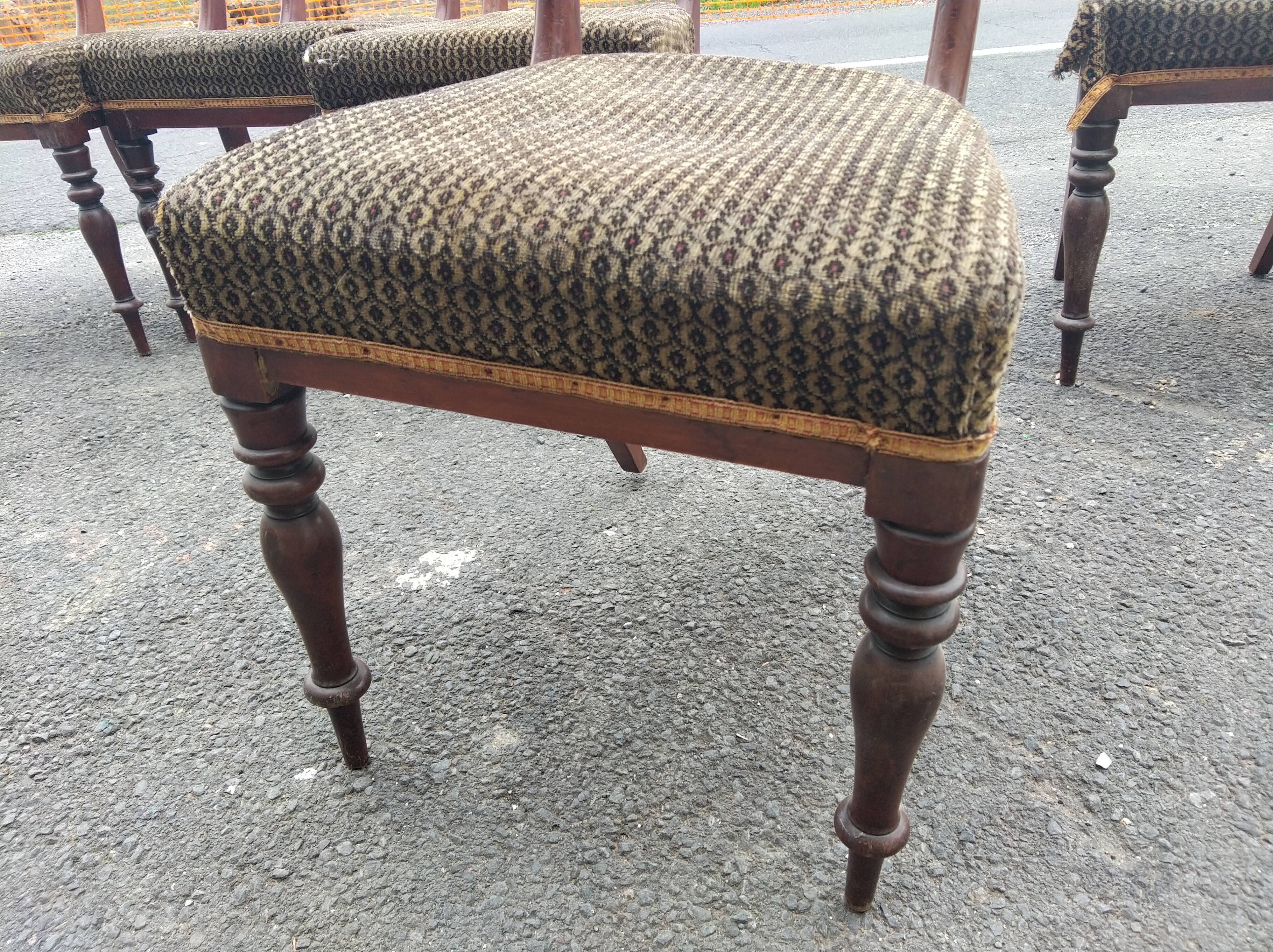 Série de 6 chaises en acajou époque consulat