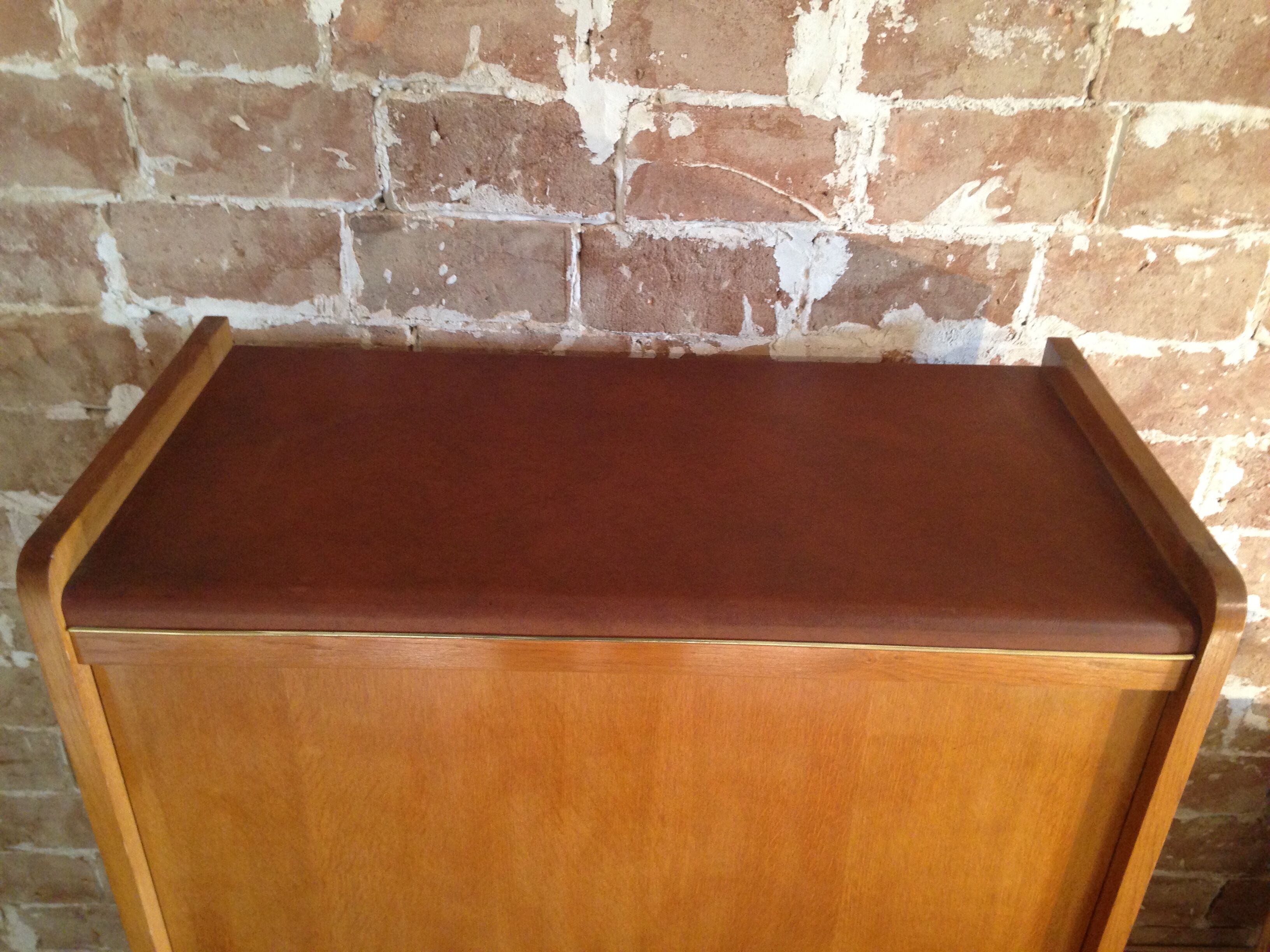 Furniture storage year 50 wood and skai has 16 compartments