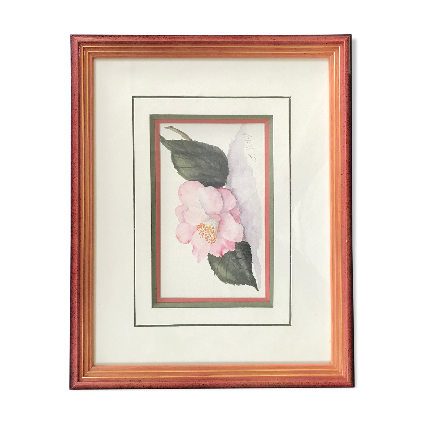 Botanical watercolour signed and framed