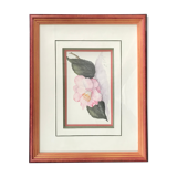 Signed and framed botanical watercolor