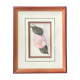 Botanical watercolour signed and framed