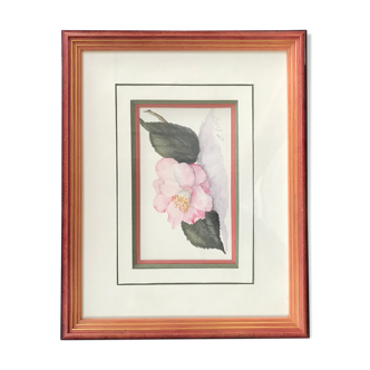 Signed and framed botanical watercolor