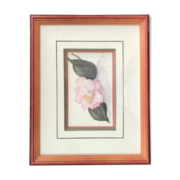Botanical watercolour signed and framed