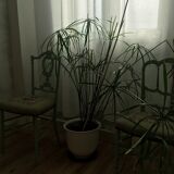 Pair of chairs