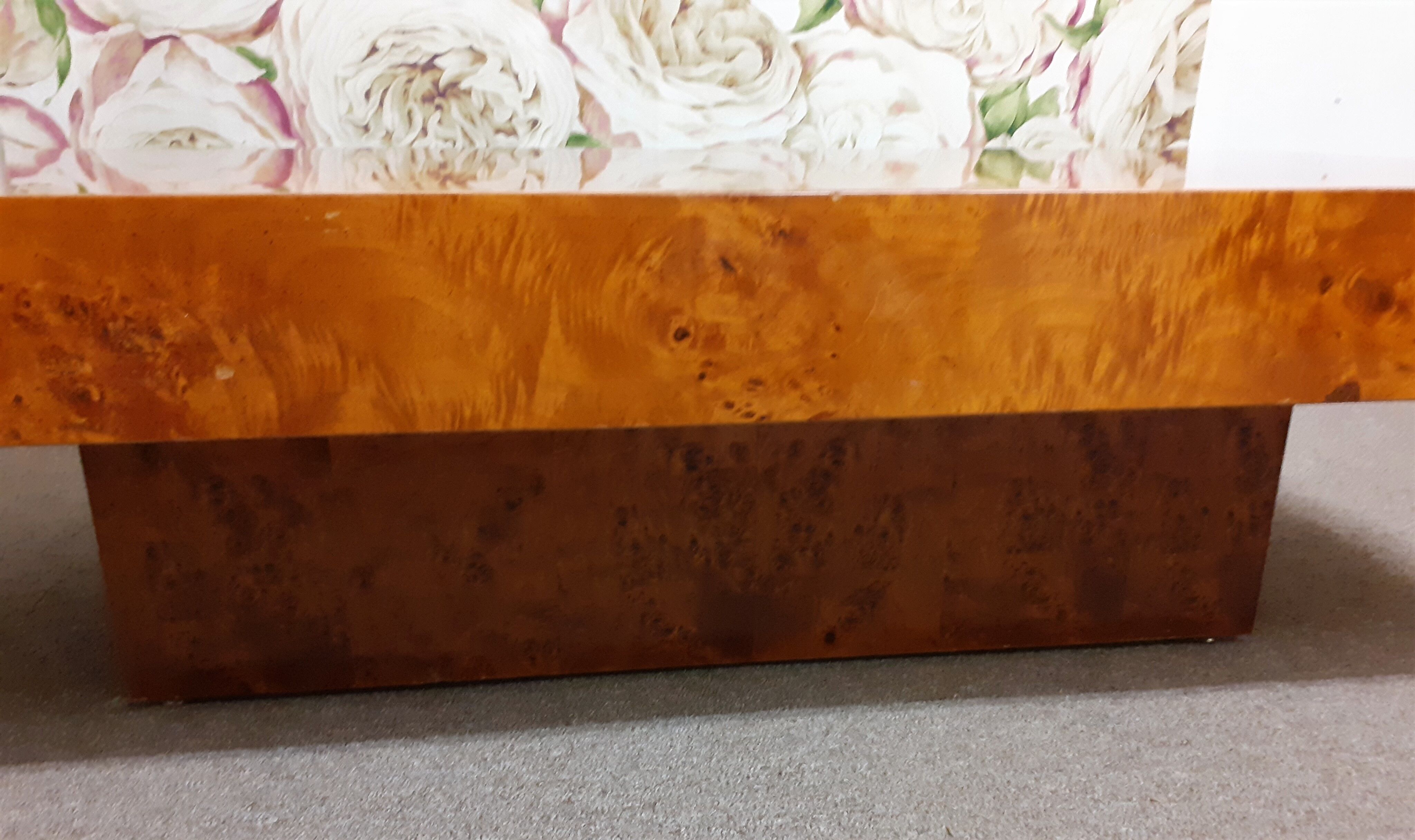 Elm magnifying glass coffee table