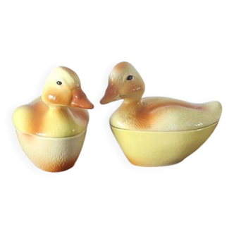 Caugant chick terrine duo