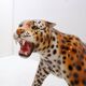 Ceramic sculpture of a leopard by "Ceramiche Boxer" - Italy
