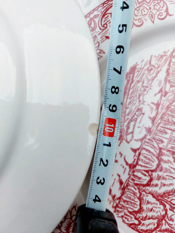 5 Badon dinner plates