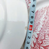 5 assiettes plates Badon