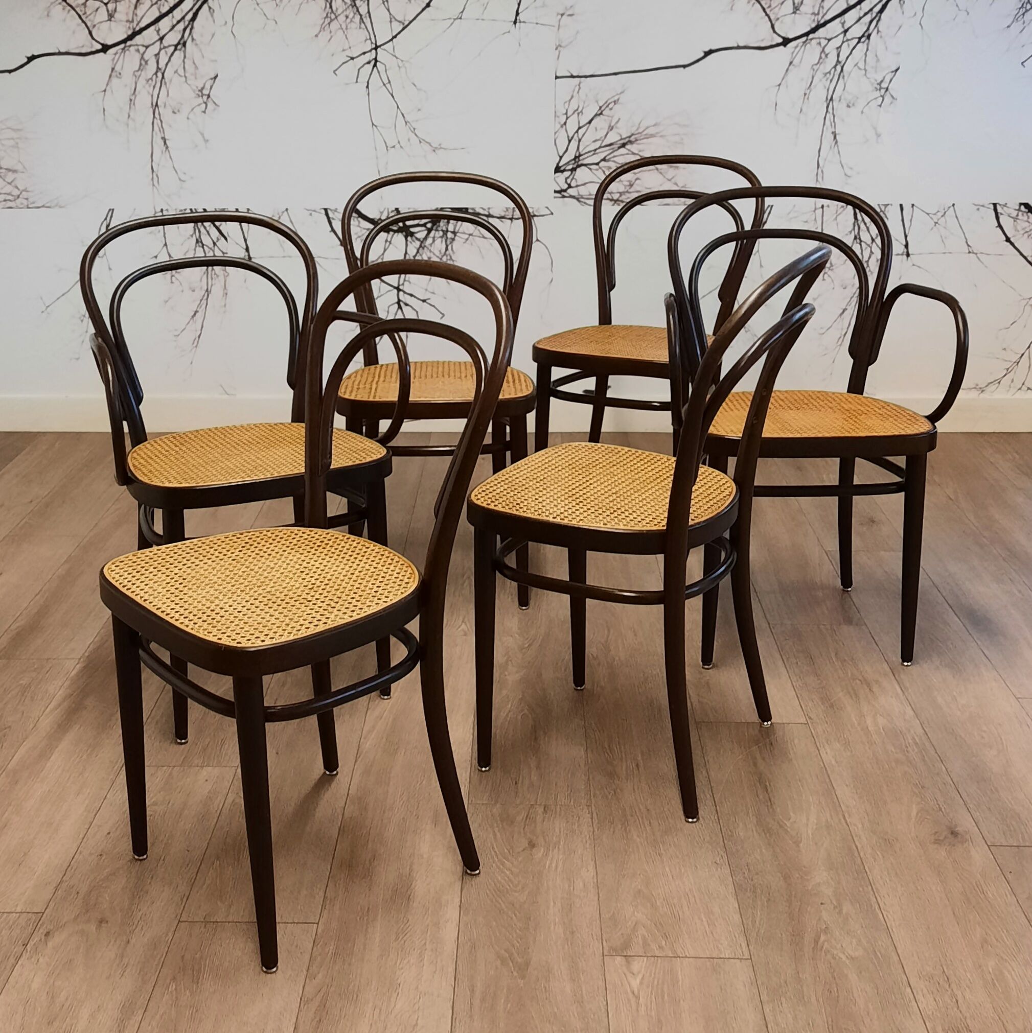 Set of 6 No. 214 chairs by Michael Thonet for Thonet, 1980s