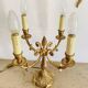 Paire de lampes de table en bronze doré époque milieu XXe