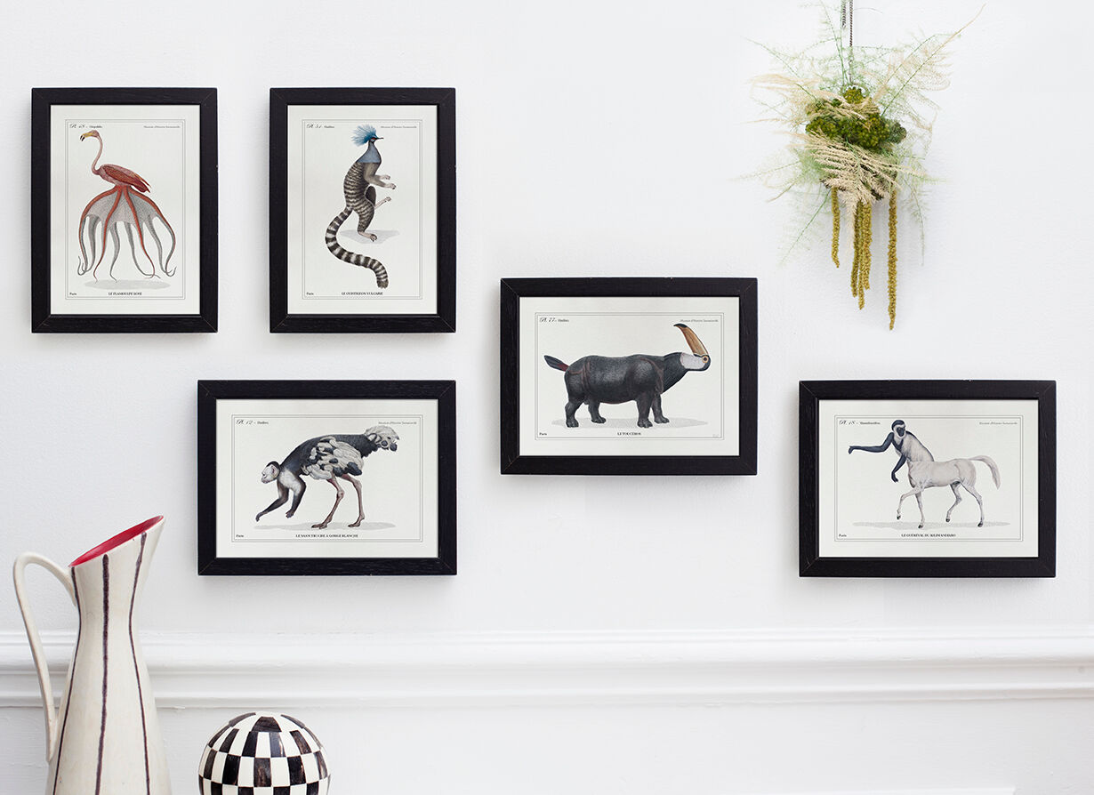 Set of 2 framed chimera lithograph animal engraving