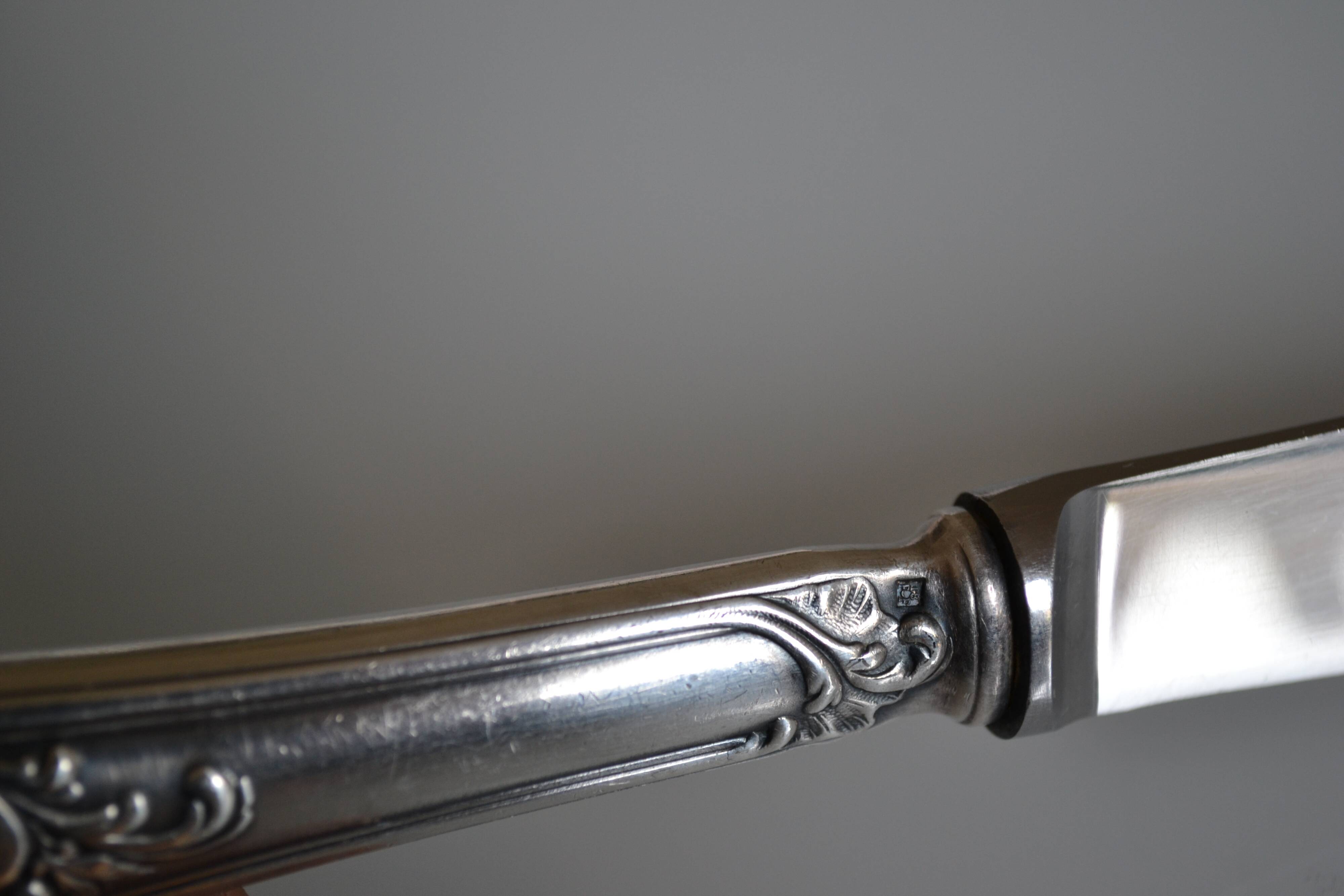 11 Frionnet François silver plated table knives 25 cm silver plated knives