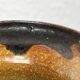 Mid-Century Modern German Studio Pottery Vase by Luise Duncker, 1960s