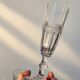 2 verres Saint Louis modèle Trianon