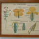 Set of 10 Rossignol posters on plants with frame