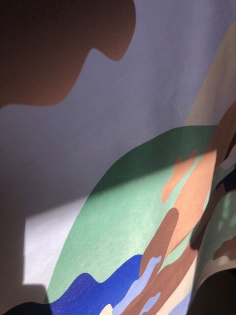 Printing on velvet