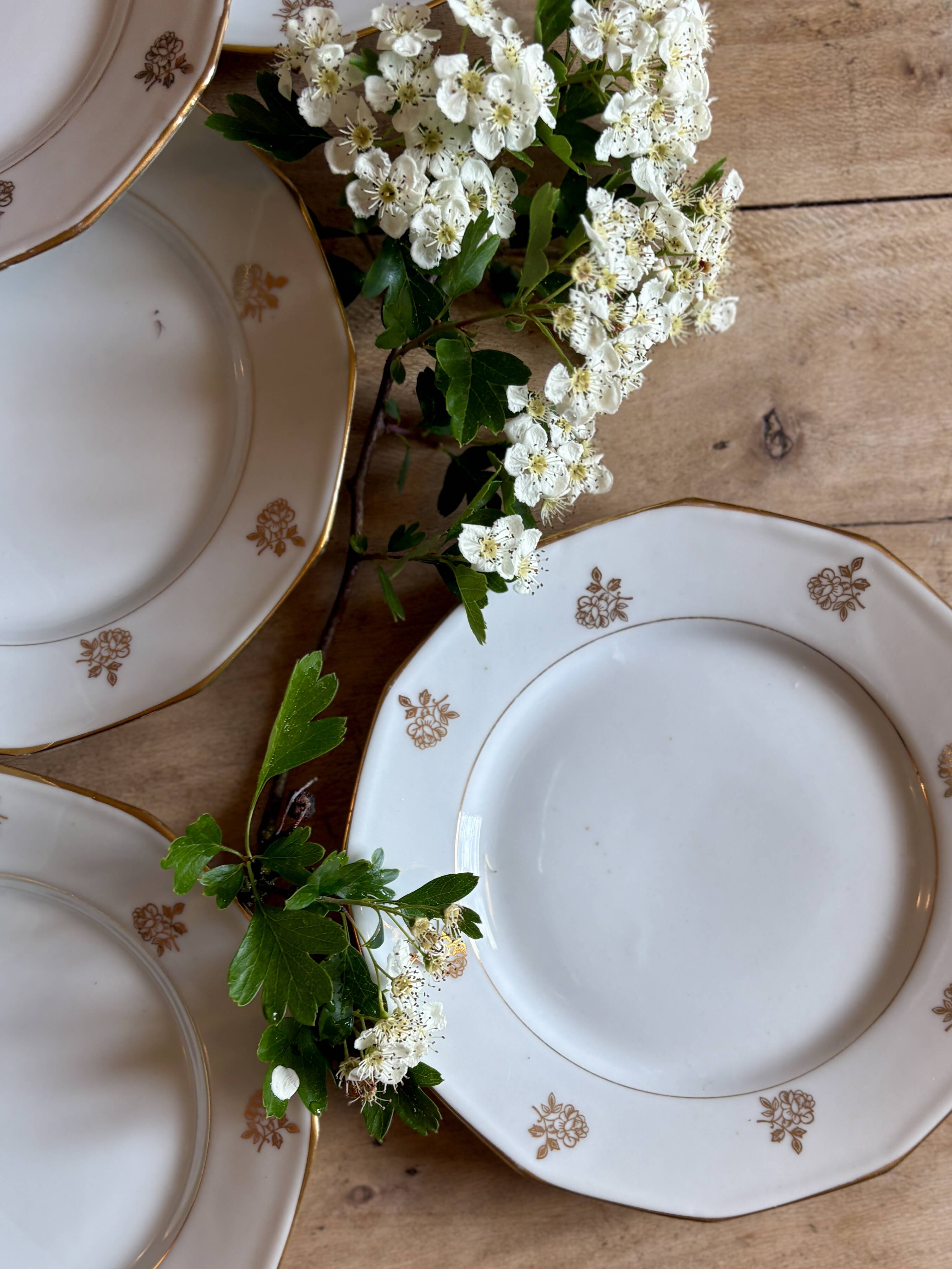 Lot de 12 assiettes à dessert vintage en porcelaine avec détails dorés