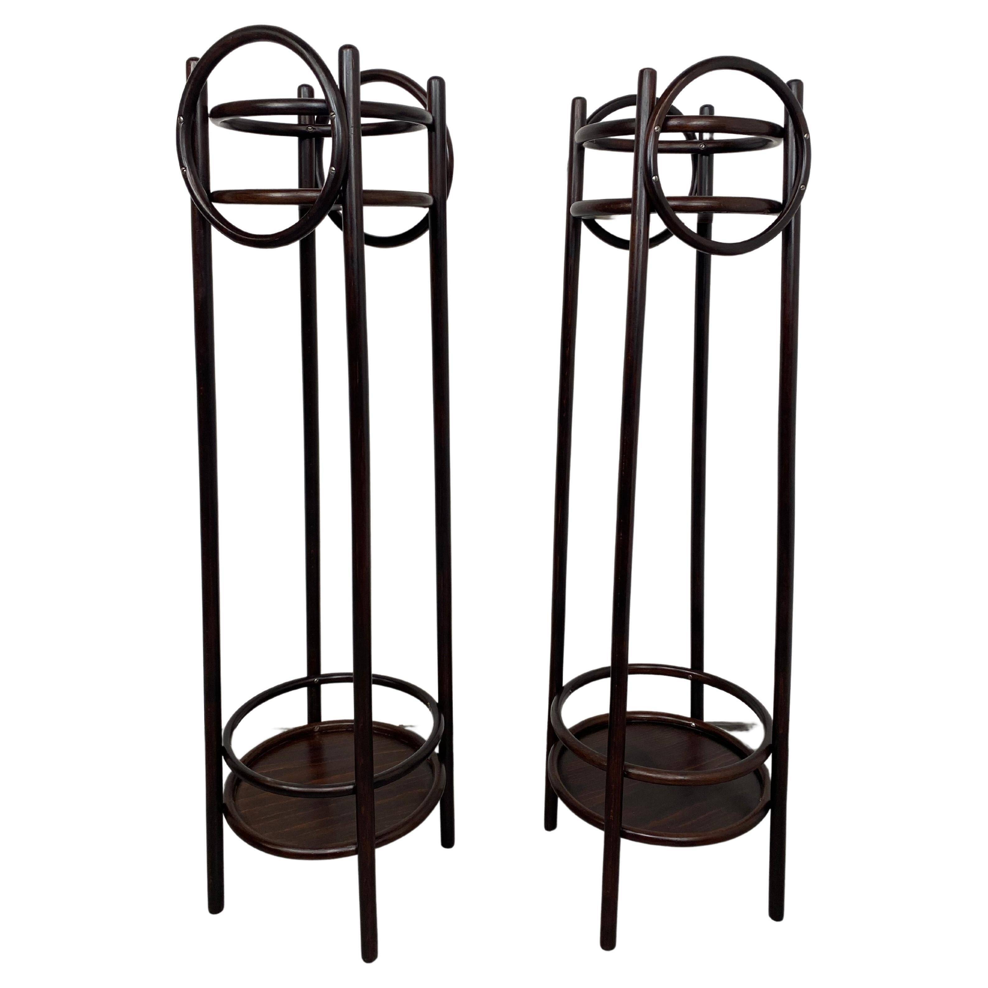 Plant supports in bent wood by Thonet