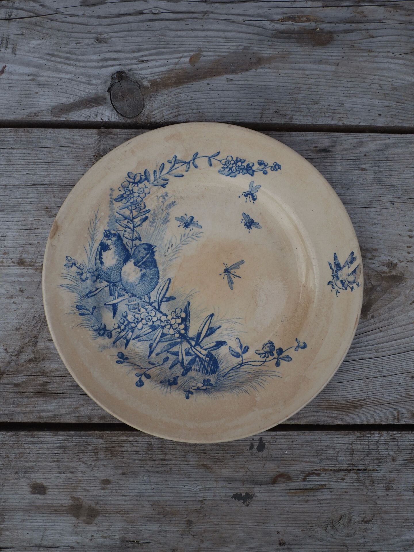 Plate dish Jules Vieillard, 1870