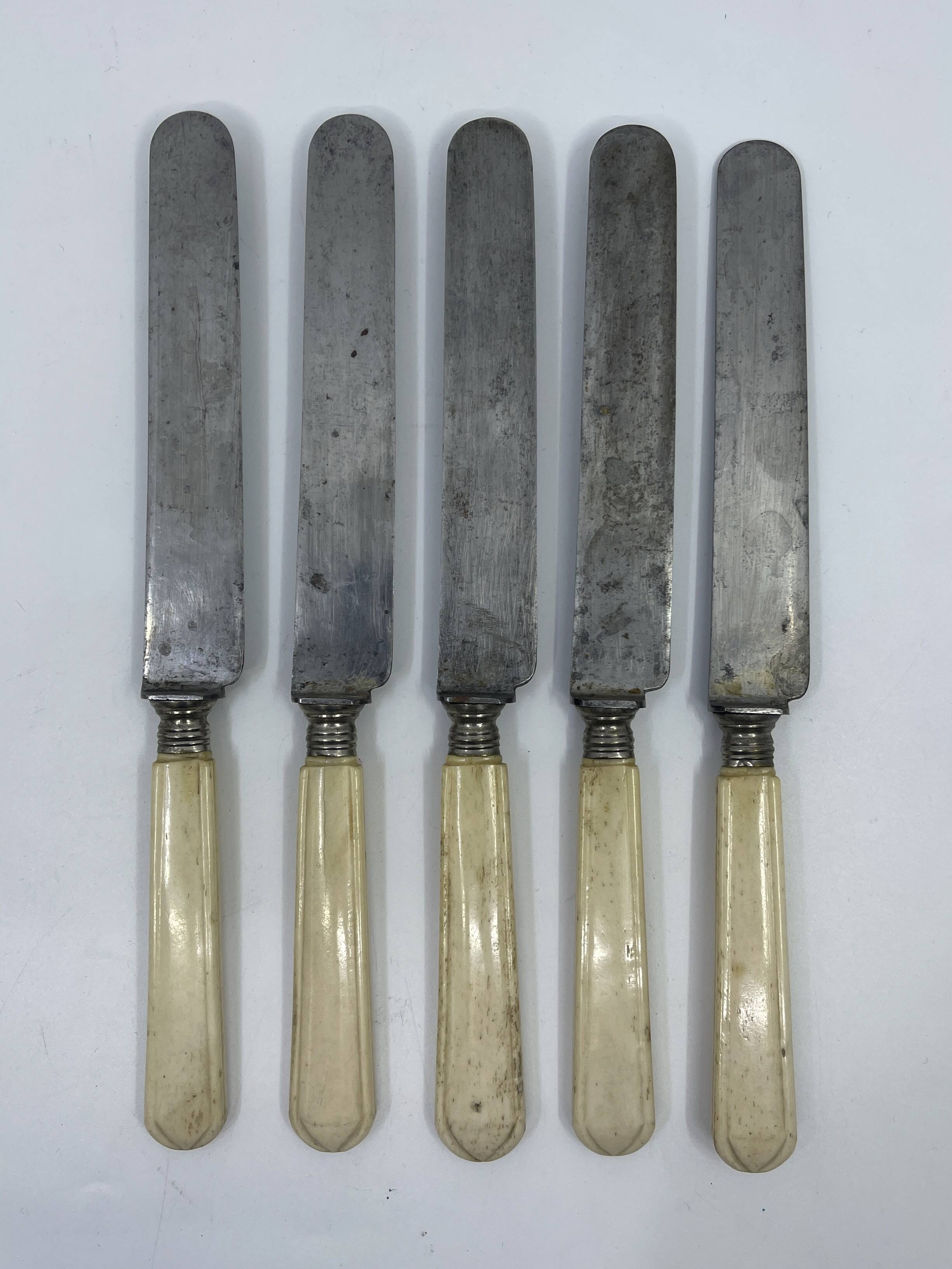 Lot de 5 couteaux à déjeuner manche ivoire