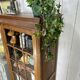 Vitrine parisienne en bois