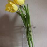 Conservation bottle transparent glass deco diversion