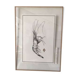 Illustration "the giant shrimp tigrée", limited series