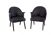 Set of 2 swallow armchairs,1960s