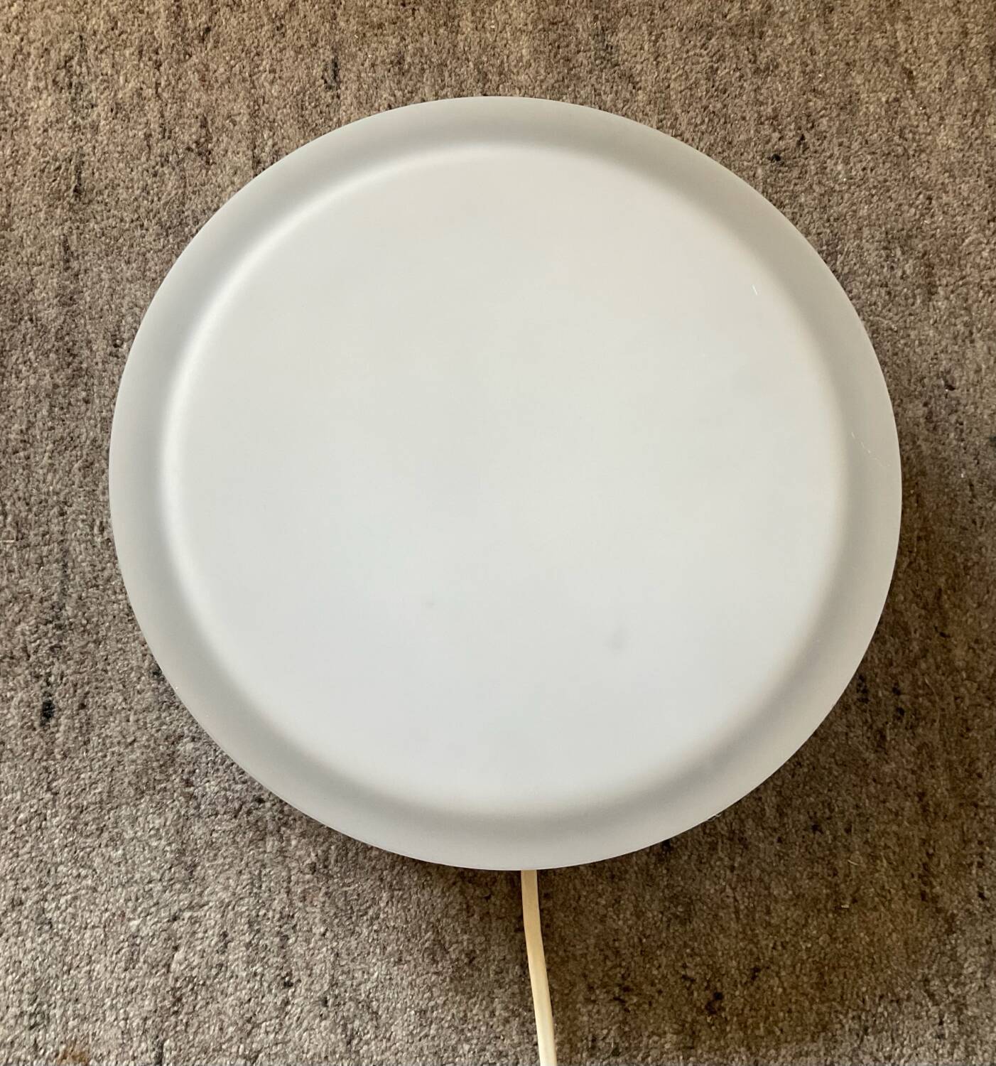 Vintage frosted glass wall or ceiling light