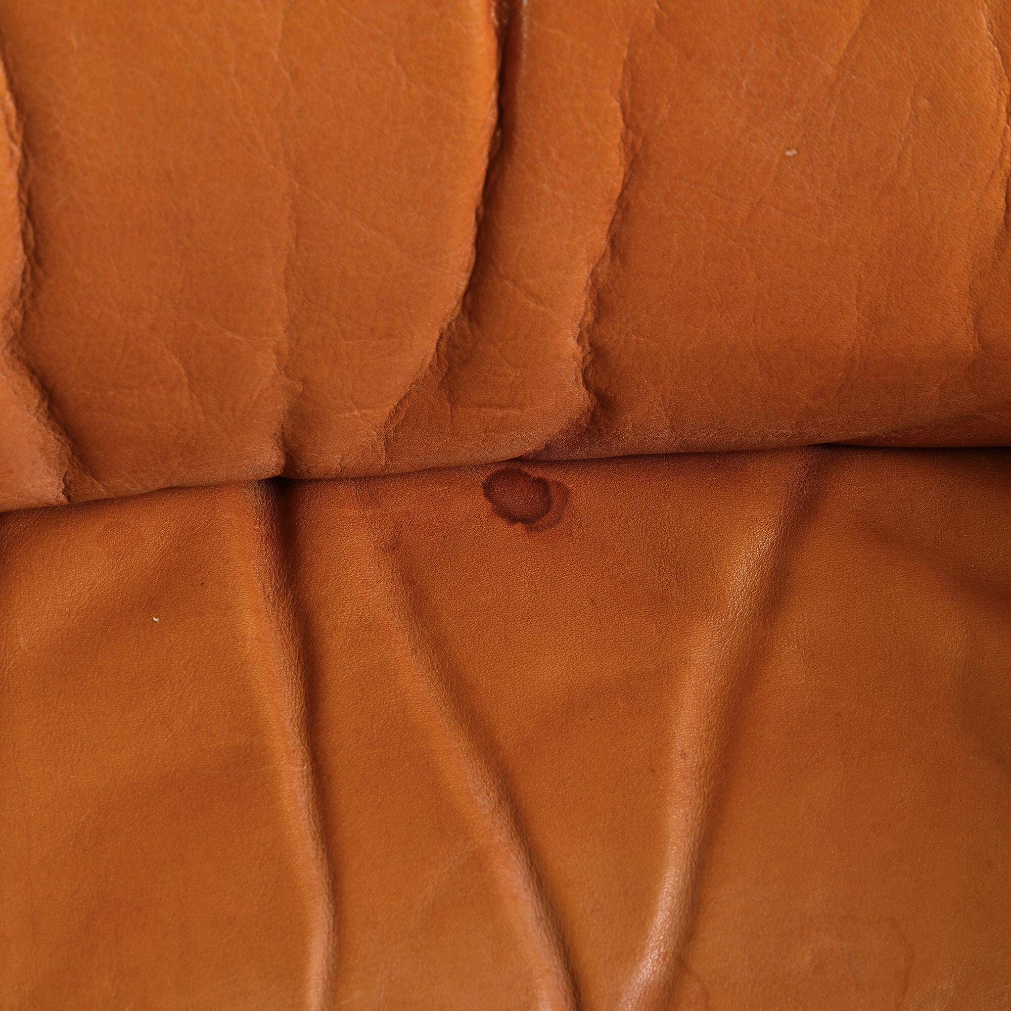Paire de fauteuils DS-40 de Sede, Suisse, circa 1970