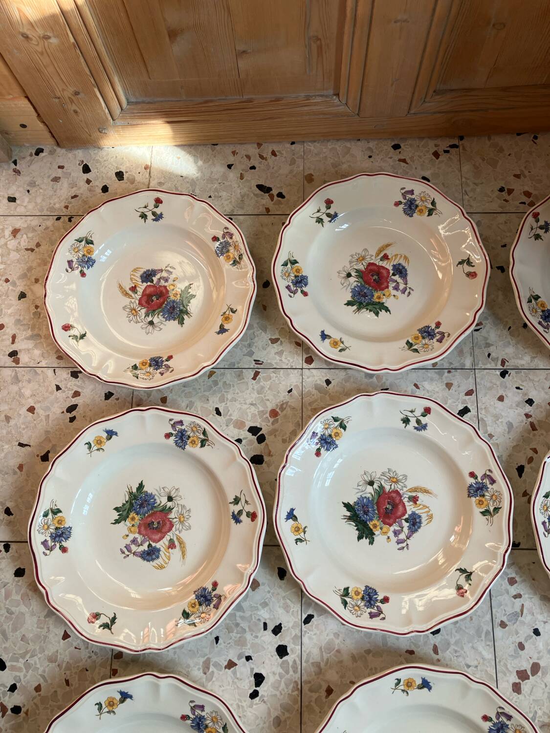 9 Sarreguemines soup plates