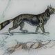 Original zoological plate " Caracal - Serval - Ocelot - &c... " Buffon (1836)