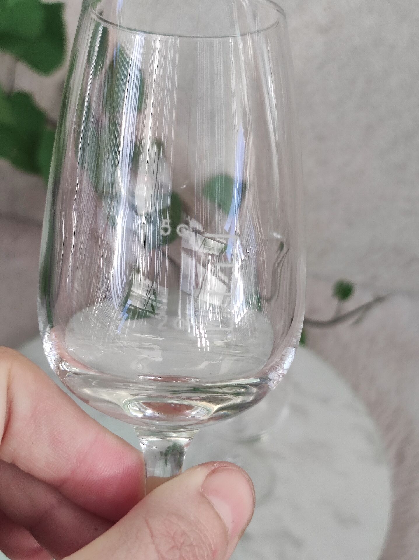Verres a dégustation liqueur