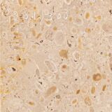 Philippe Jean Signed Brass Bird Table Lamp, Limited Edition 201/300, 1980