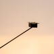 Samurai Table Lamp by Asahari Shageaki for Stilnovo Italy