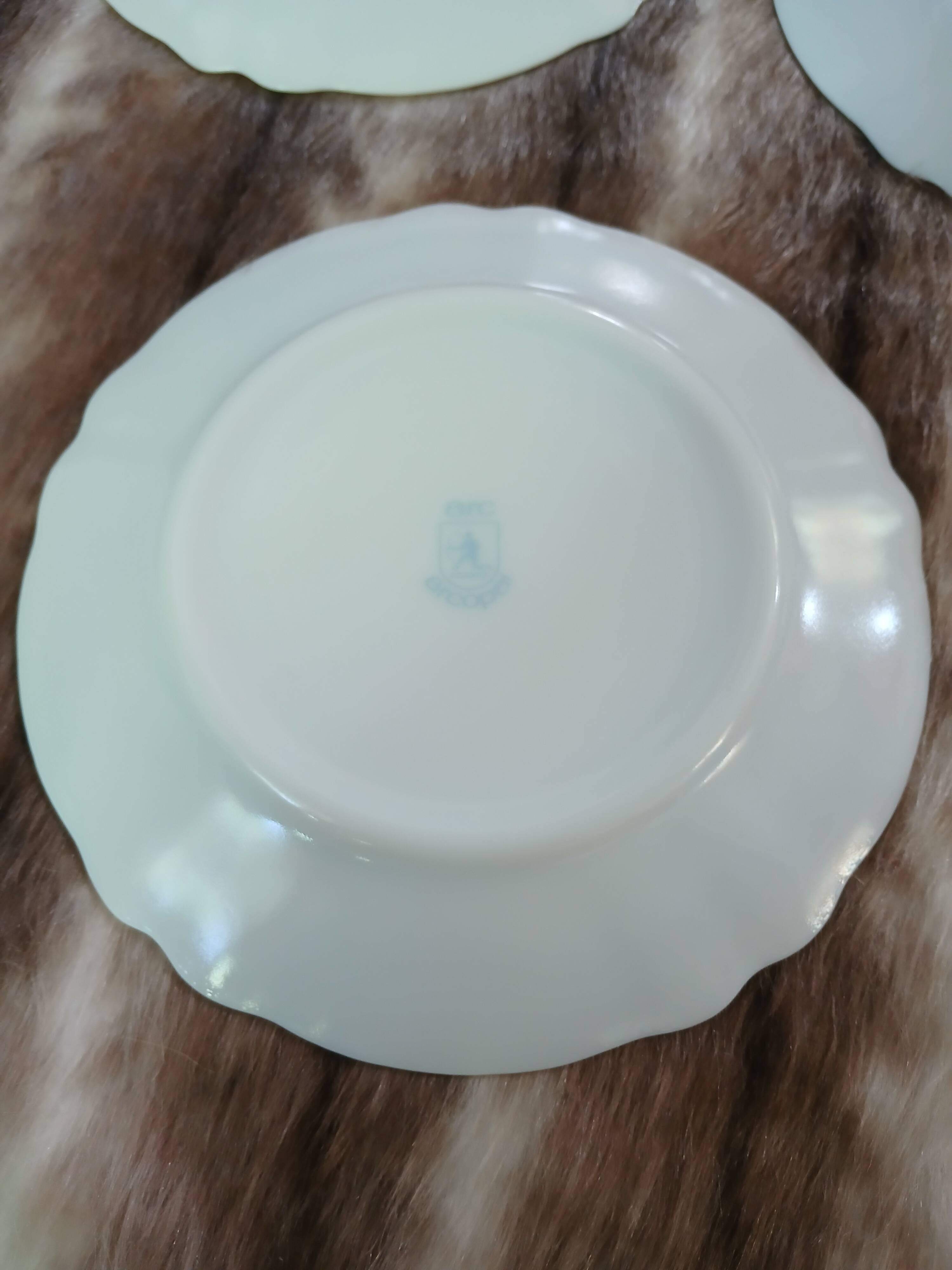 11 vintage dessert plates in Arcopal