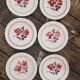 Lot 6 plates Digoin Sarreguemines model Cannes