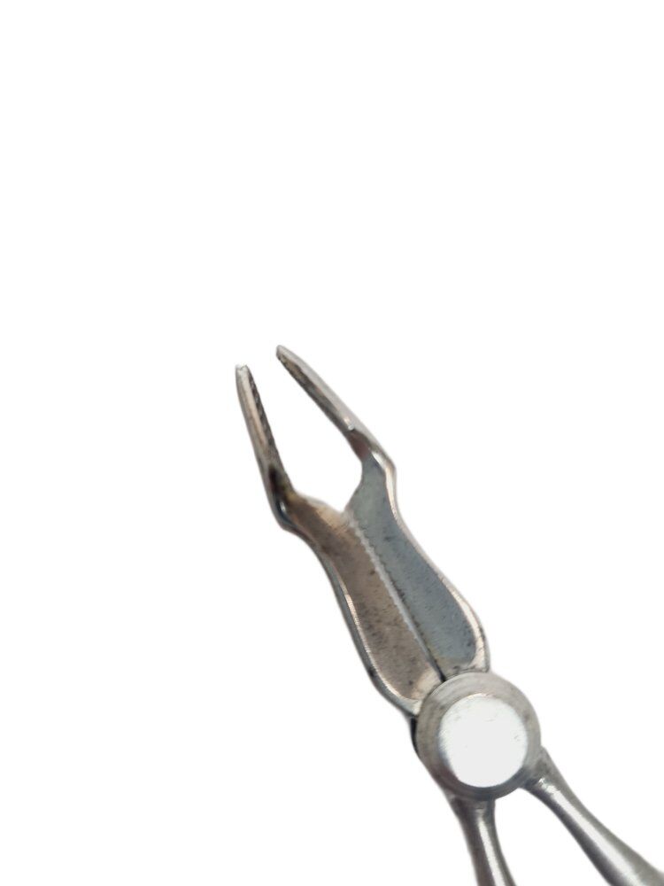 Art Nouveau Danish grape scissors, 1920s