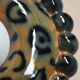 Luna Tall Leopard 5 Wall Lamp