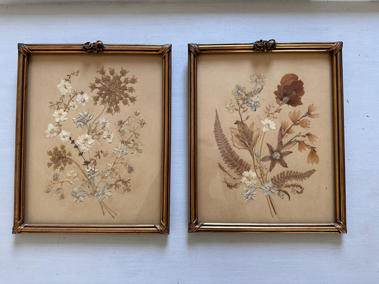 Old frames with dried flowers