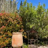 Terracotta pottery jar