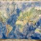 Vintage Map: USSR Yugoslavia Czechoslovakia