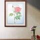 Botanical plate Rose of Provins