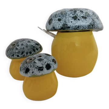 70s earthenware condiment set