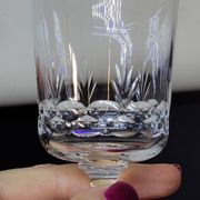 8 antique baccarat crystal wine glasses cut engraved 10742