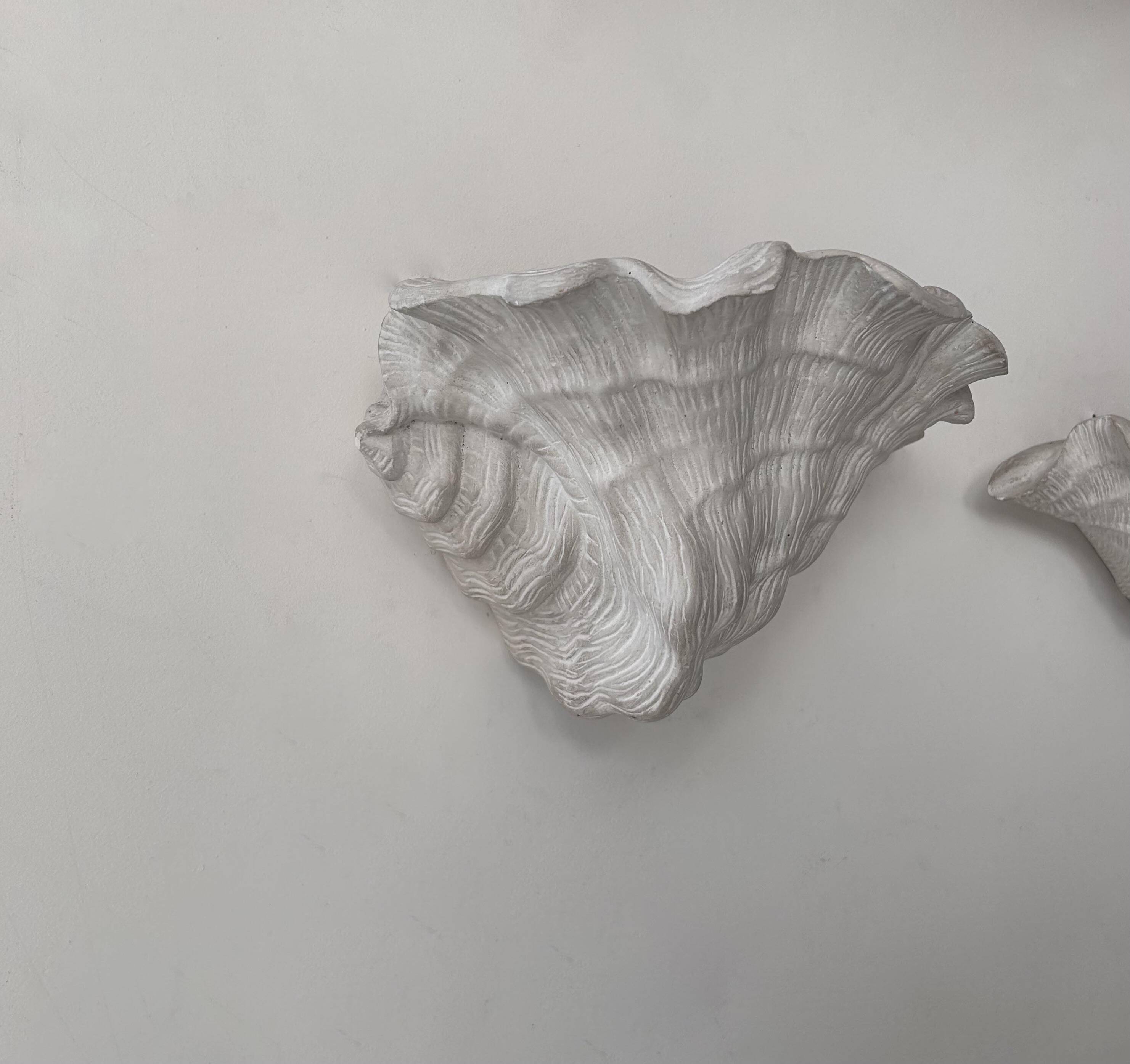 Pair of vintage shell wall lights, matte white plaster, France 1940