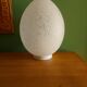 Lampe oeuf en verre