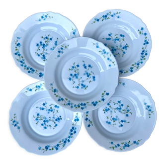 Hollow plates Arcopal blue flowers