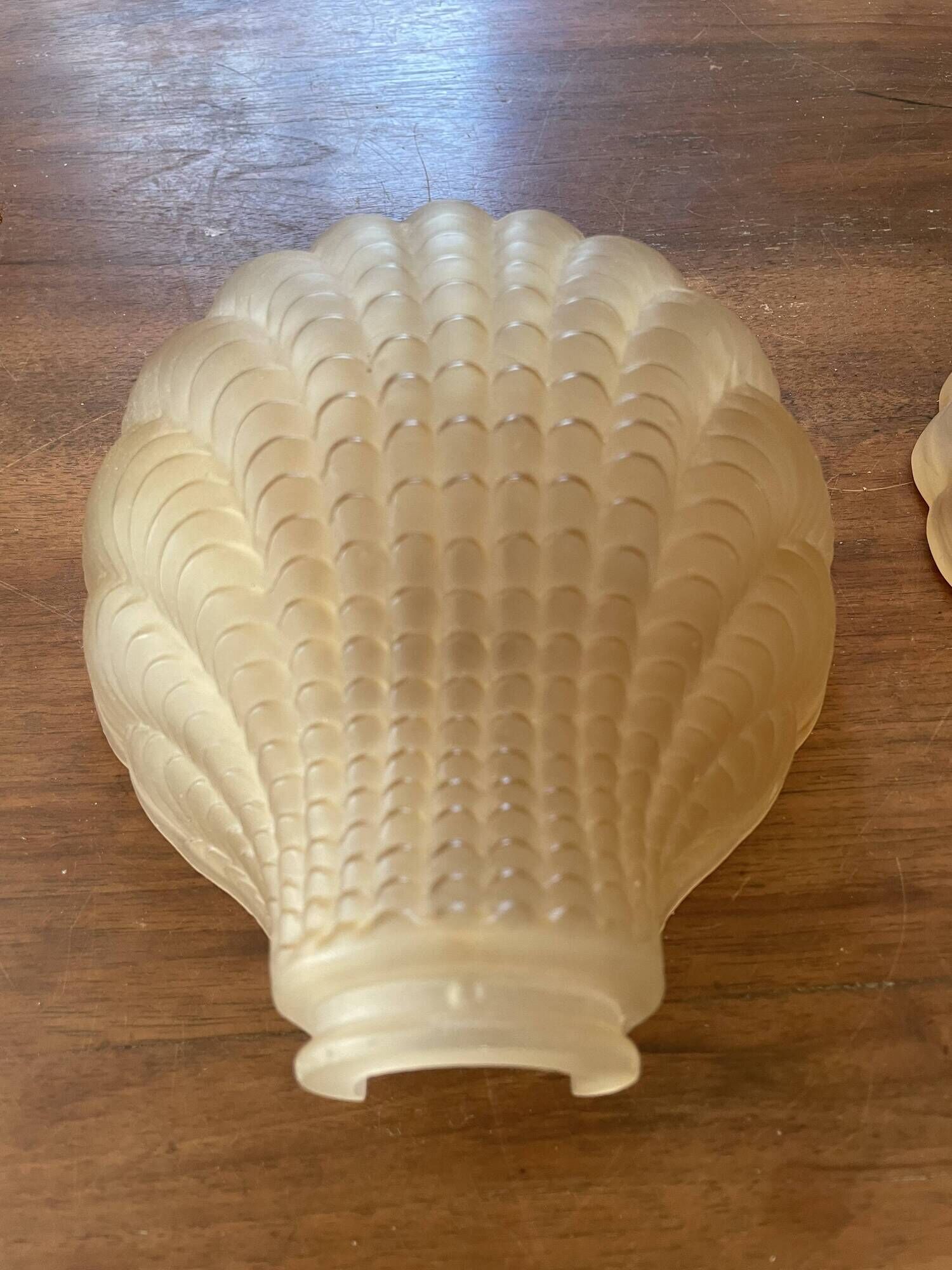 Pair of shell wall lights in frosted glass in Art Deco style.